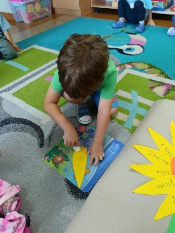 Nasze Wspólne Słoneczniki (11)