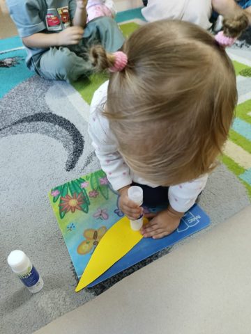 Nasze Wspólne Słoneczniki (2)